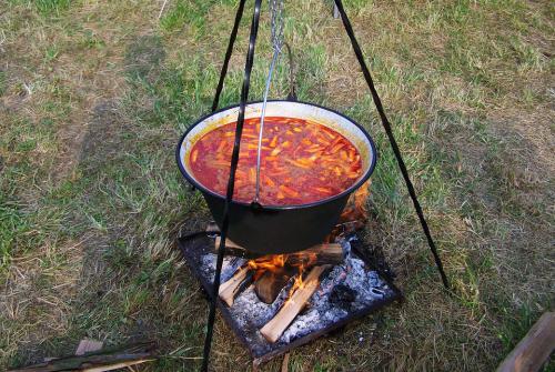 Érdekességek a napfény városáról, Szegedről